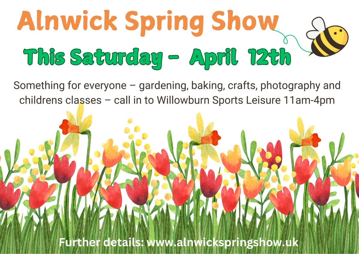 Something for everyone at Alnwick Spring Show - Alnwick Town Council